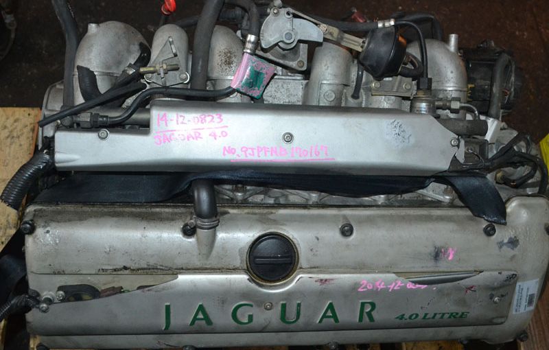  Jaguar 9J-PFNB :  4